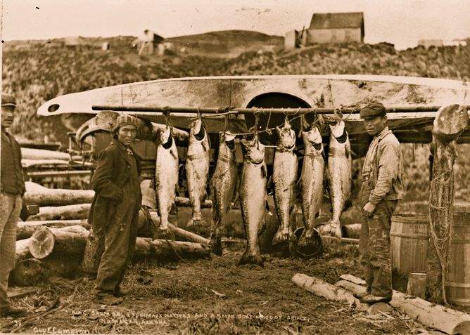 King Salmon at the mouth of the Nushagak River. Photo: Guy F. Cameron (great grandfather Guy Cameron Fullhart Mgr.)